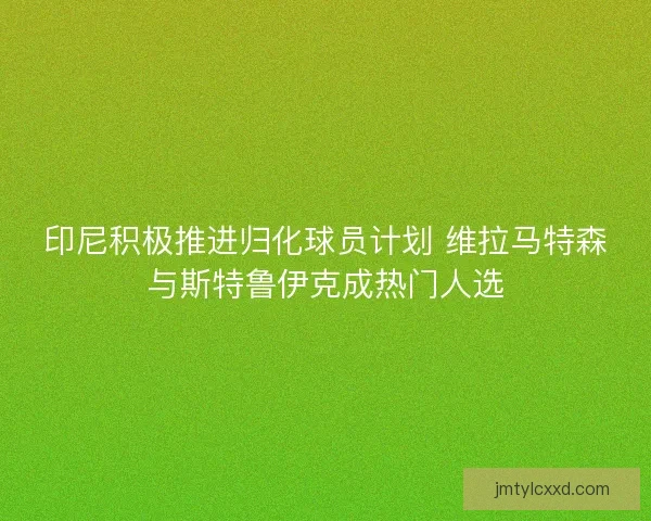 印尼积极推进归化球员计划 维拉马特森与斯特鲁伊克成热门人选